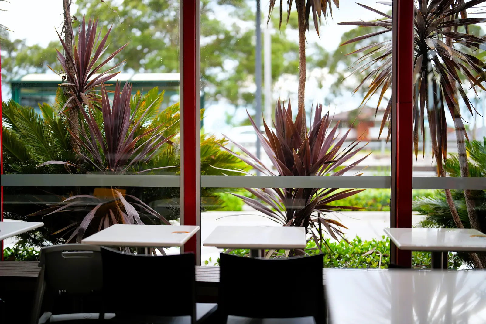 The best cafés to work from in Sydney Enjoy the greenery and peaceful ambiance from a Sydney café with large windows.