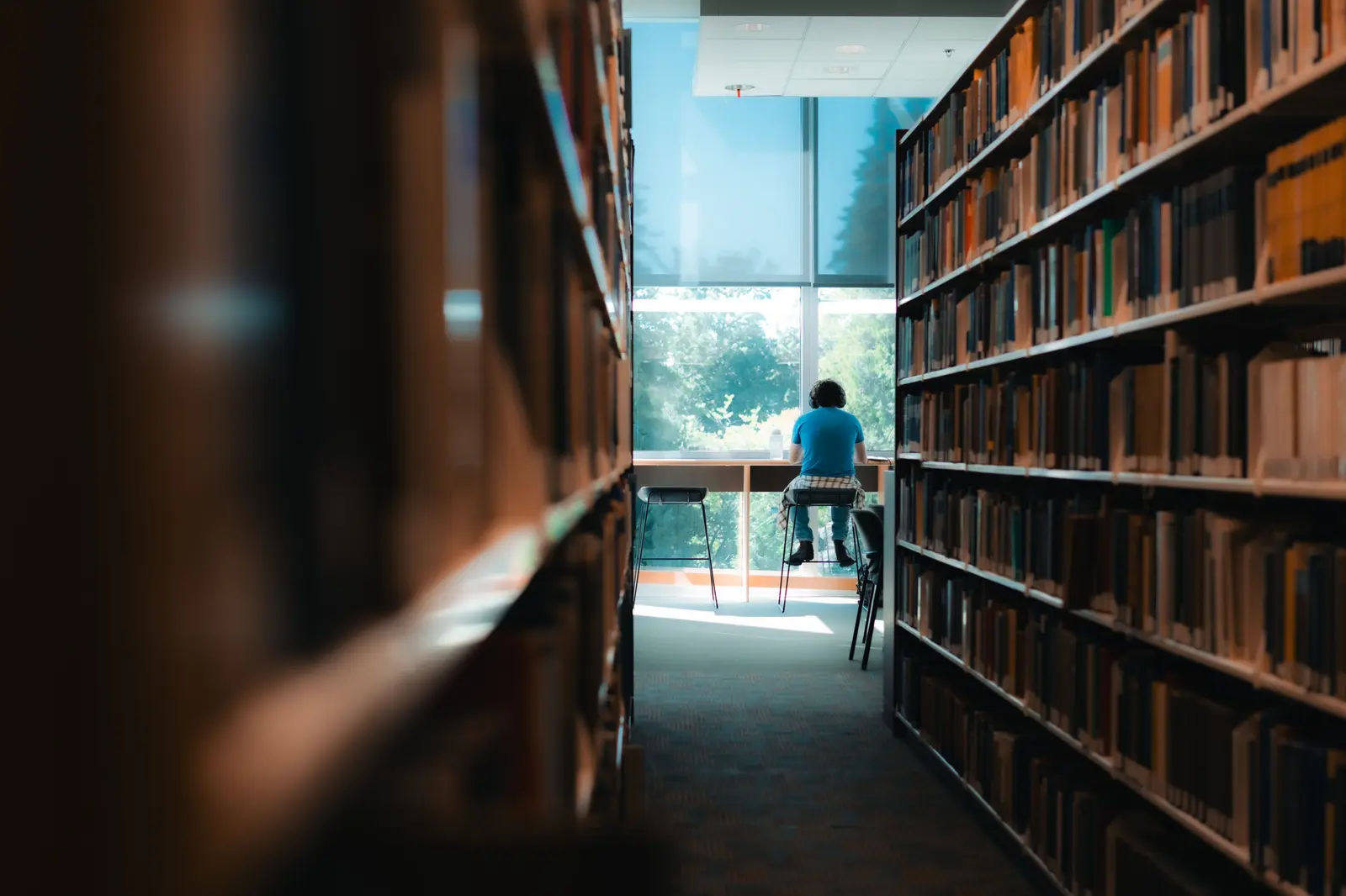 The best places to study in Vancouver A student studies alone in a serene university library in Vancouver.