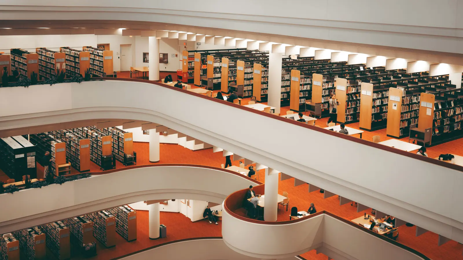 The best libraries to work and study in Toronto A spacious modern library in Toronto showcasing architectural design.