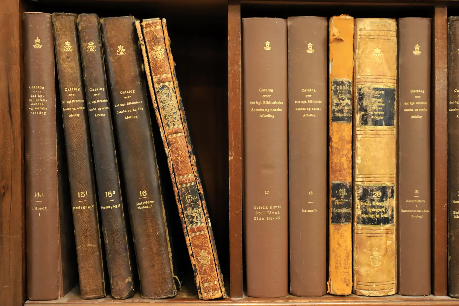 The best libraries to work and study in Copenhagen Row of antique books in a Copenhagen library, showcasing historical volumes.