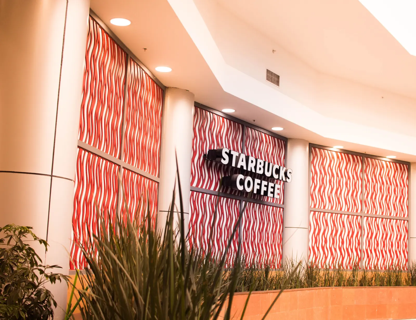 Stylish interior design of a Starbucks coffee shop in Mexico City with vibrant wall patterns.
