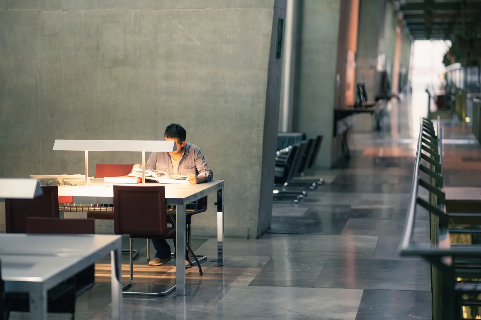 A man absorbed in reading at a contemporary library in Mexico City, bathed in natural light.