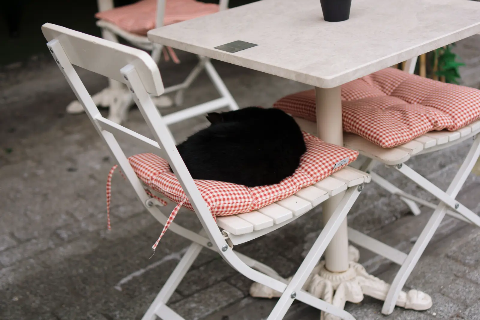 A black cat peacefully naps on a cushioned chair in a quaint Istanbul cafe, showcasing urban charm.