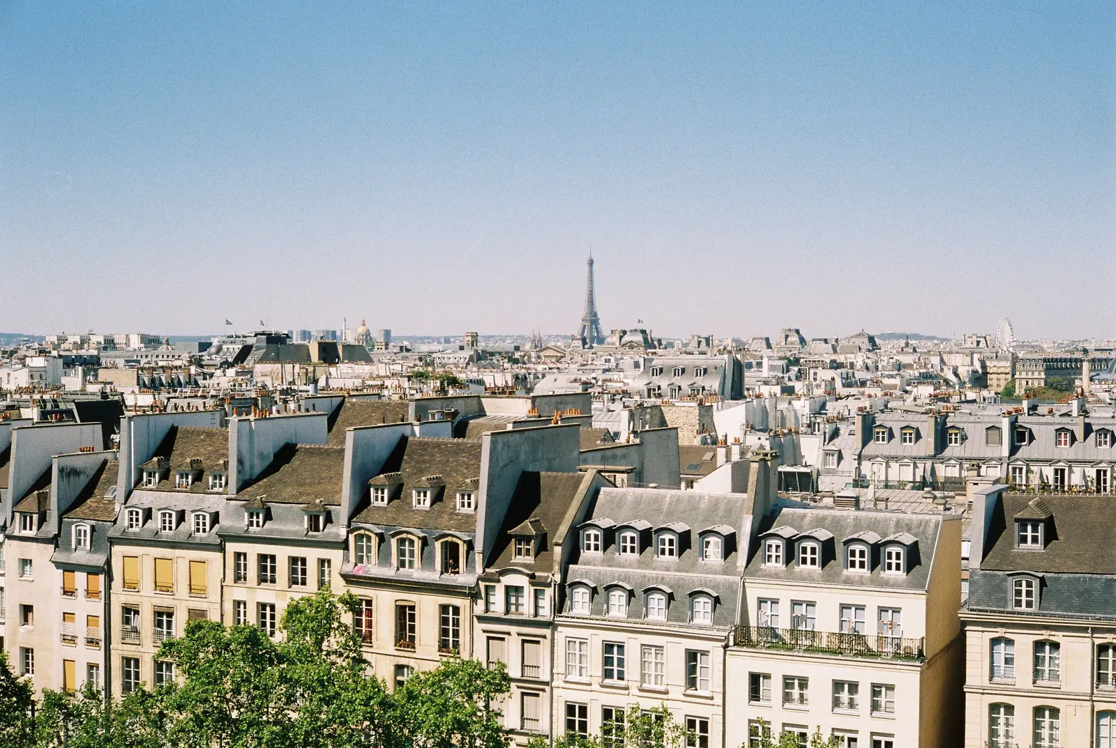 Stunning aerial view of classic Parisian architecture surrounded by greenery during summer.