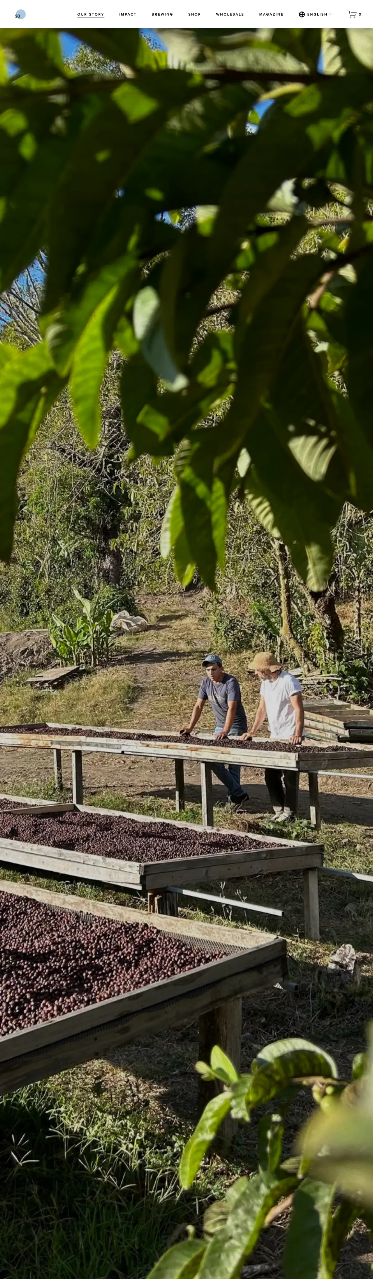 SO Coffee Roasters, photo 2
