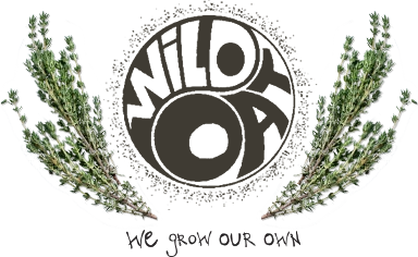 Wild Oat Bakery logo
