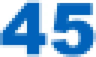 Pensió 45 logo
