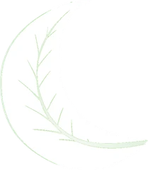 Barcelona Youth Hostel logo