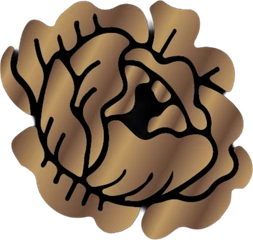Midnight Morning logo