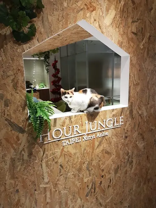 Hour Jungle Coworking, photo 1