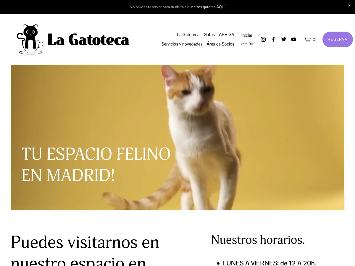 La Gatoteca's website