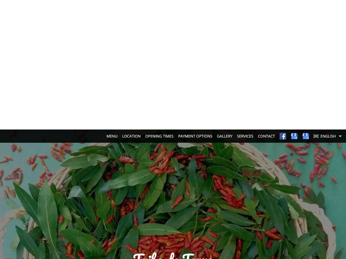 Tribo da Terra's website