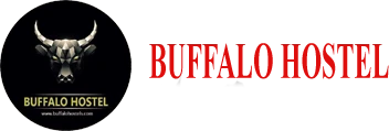 Hanoi Buffalo Hostel logo