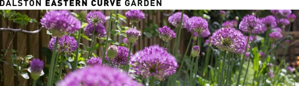 Dalston Eastern Curve Garden logo
