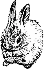 Prufrock Coffee logo