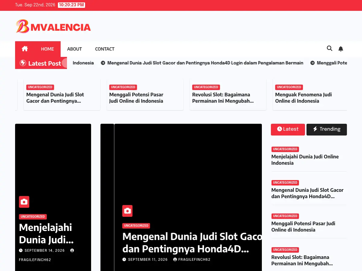 Biblioteca Municipal Carola Reig Salvá's website