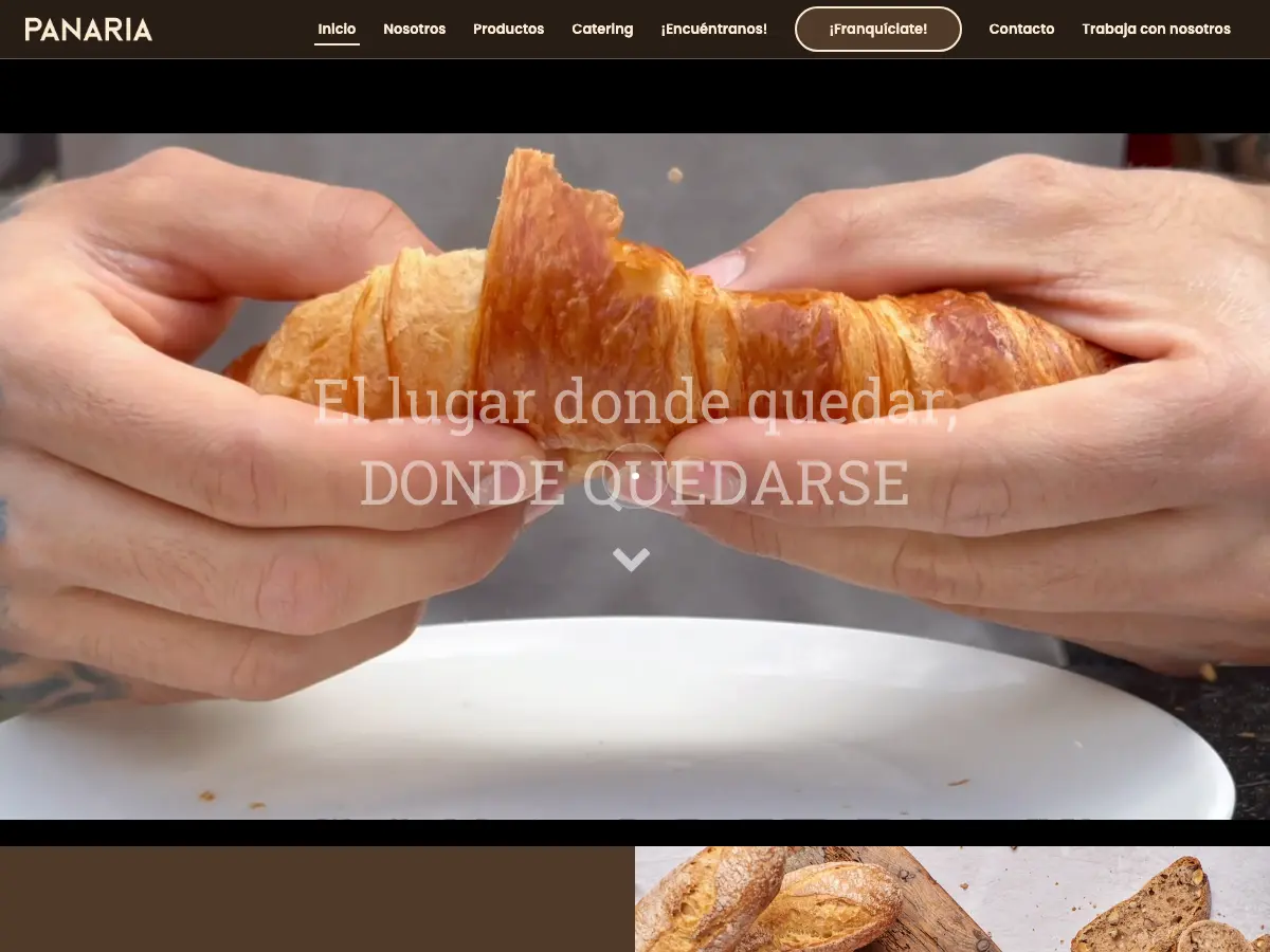 Panaria's website
