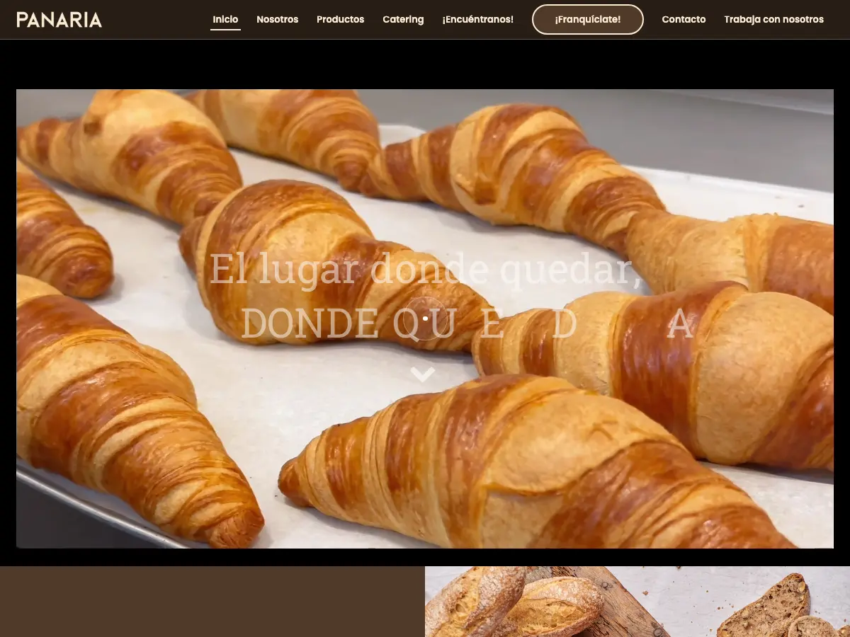 Panaria's website