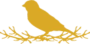 Hostel Jin logo