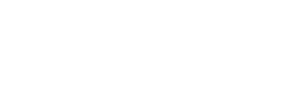 The Gottesman Libraries logo