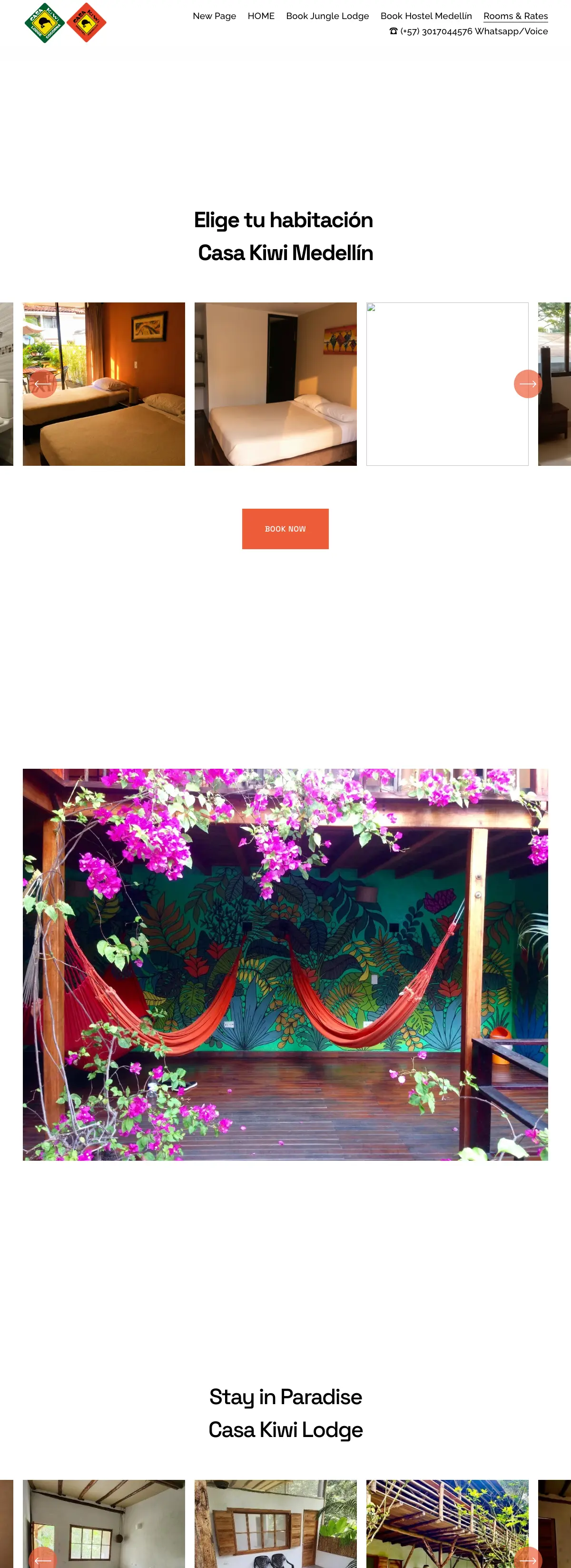 Casa Kiwi Hostel, photo 1