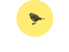 Free Hostels Roma logo