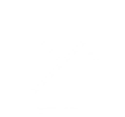 The Professional Centre logo