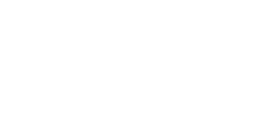 Velvet Bar & Cafe logo