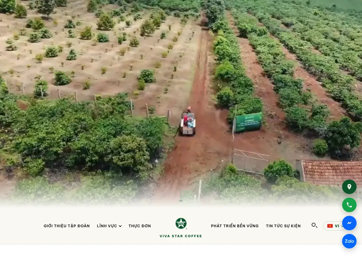 Viva Star's website